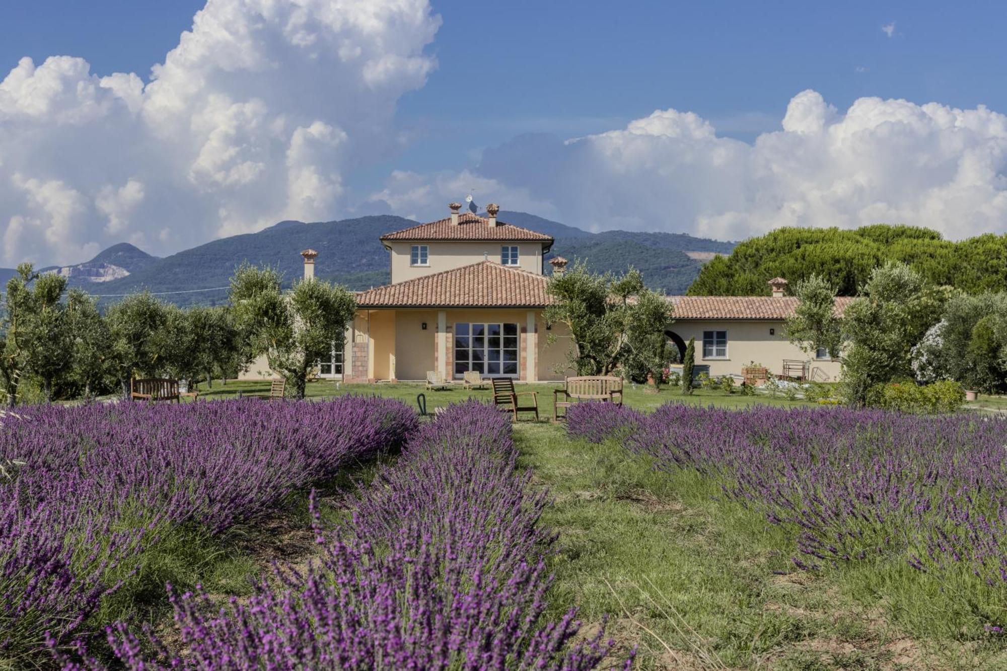 Agriturismo Villa Toscana Кампилья-Мариттима Экстерьер фото